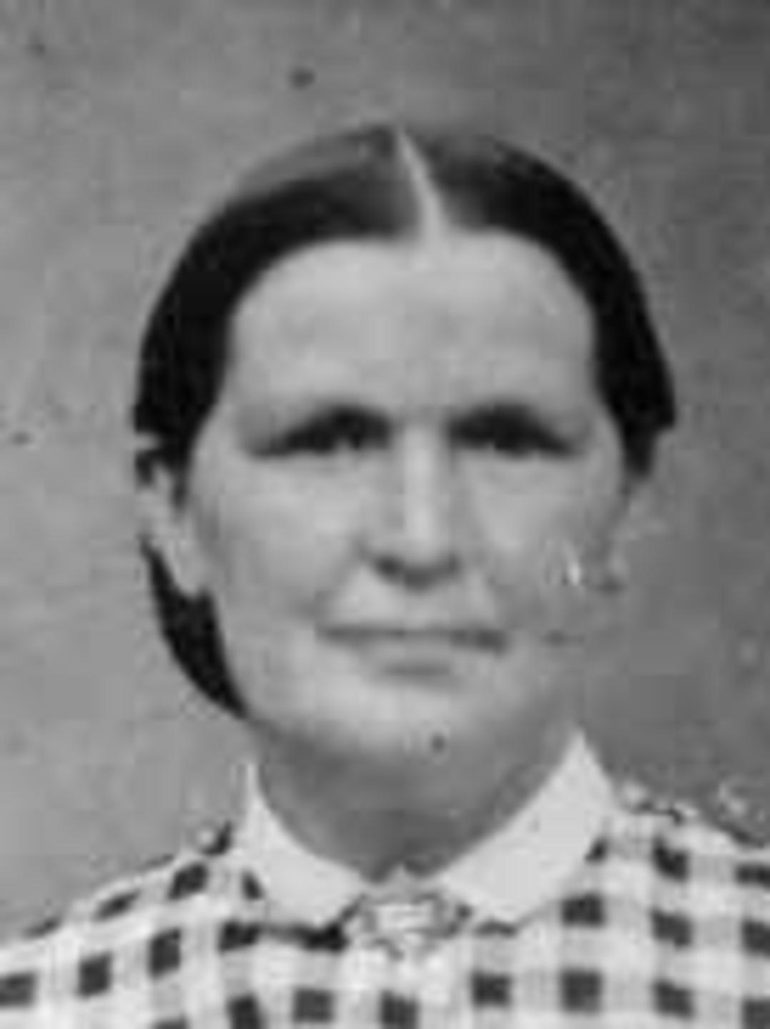 Elizabeth Brook Scarborough (1825 - 1906) Profile